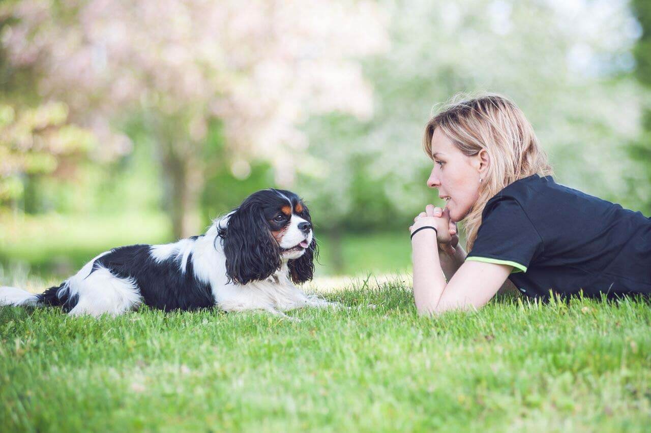 Výživová poradkyně Adéla Palacká radí, jak mít krásnou srst