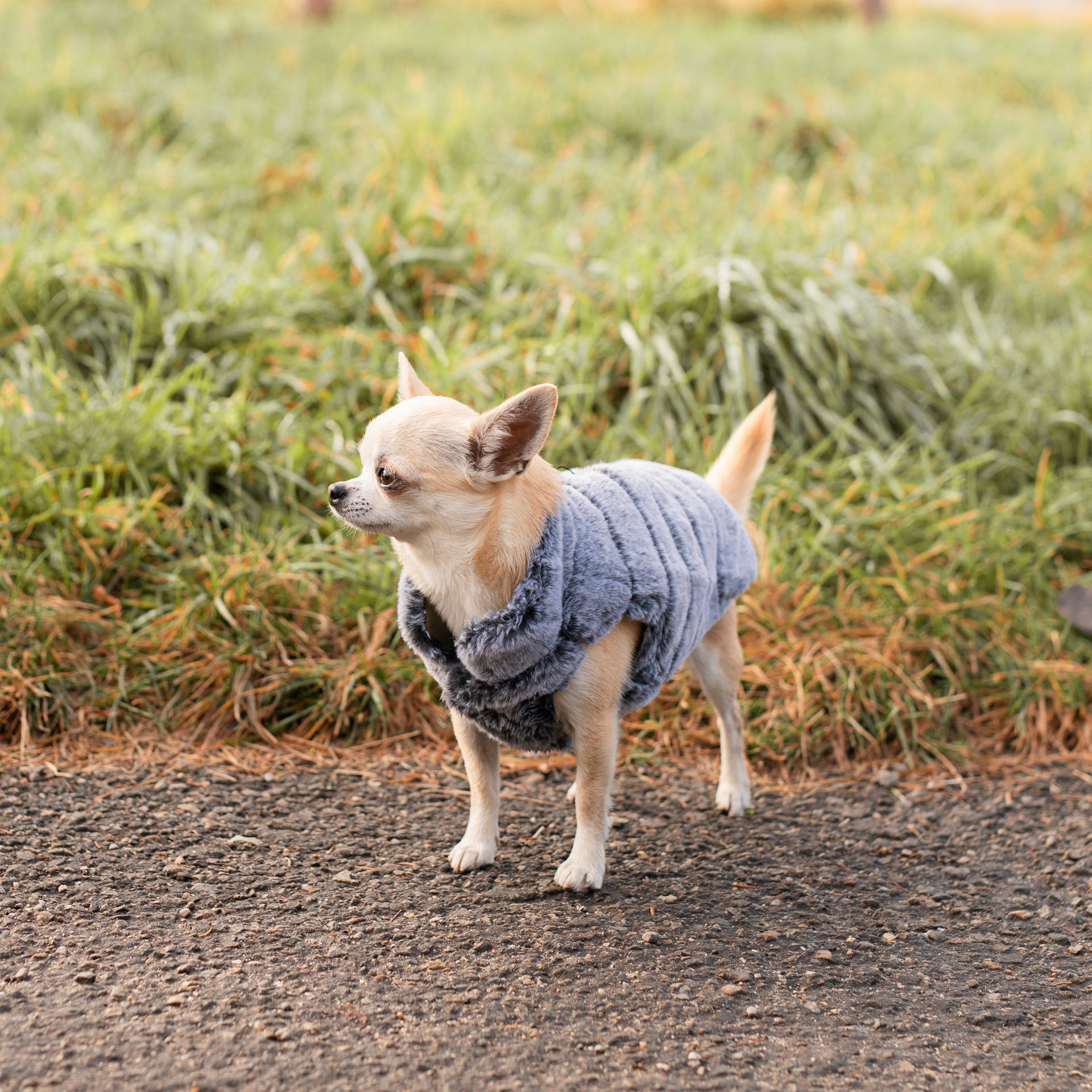 Zimní bundy a kabáty