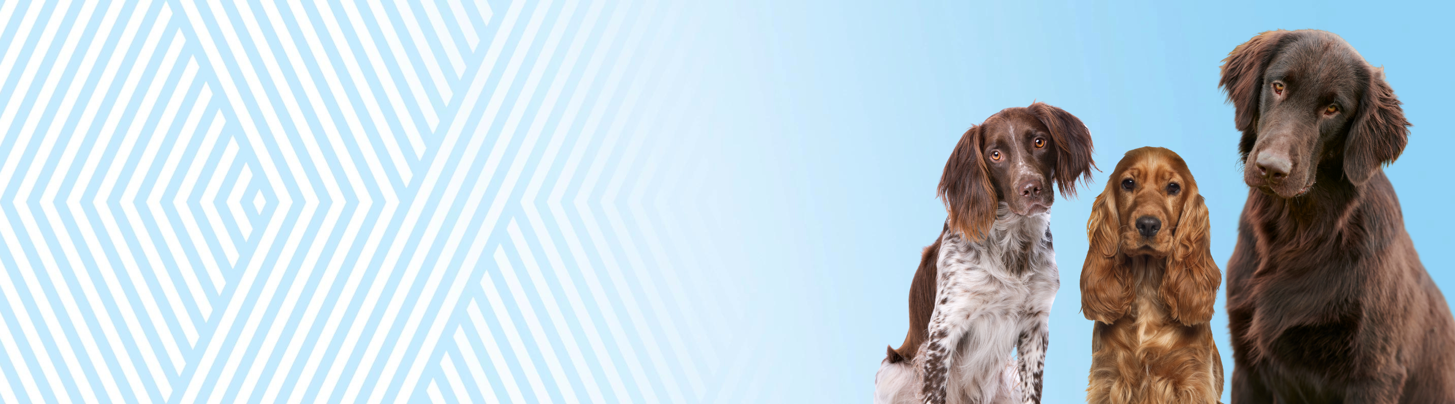 J. Dvojitá srst – dlouhá a střední