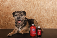 Pečující přípravky a hojivé kúry