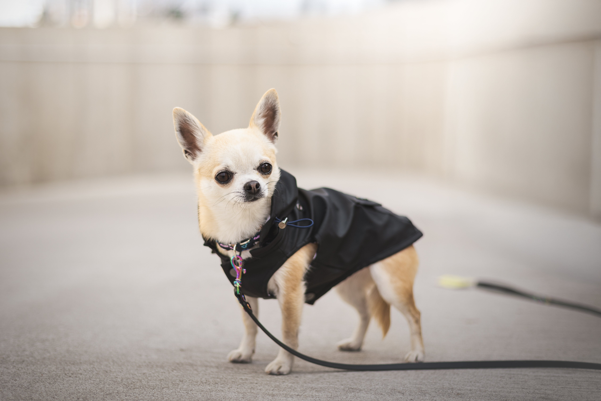 Akce, novinky a zajímavé