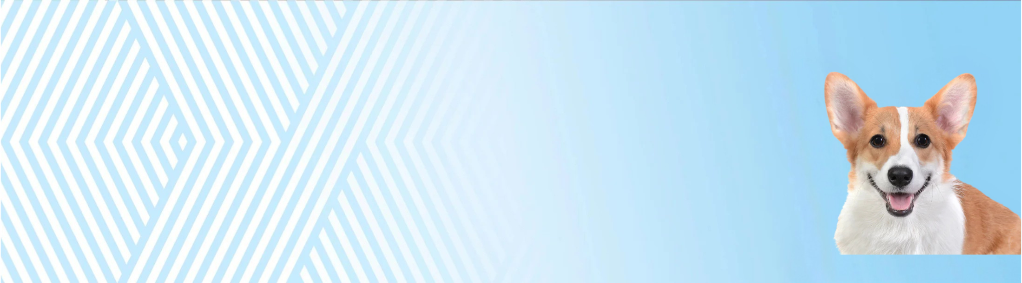 Welsh Corgi Pembroke