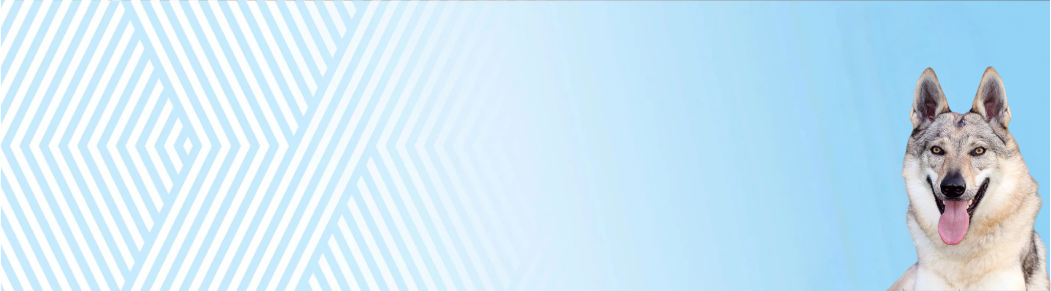 Československý vlčák