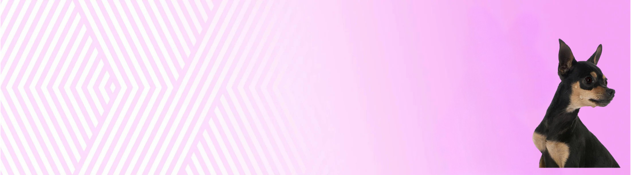 Pražský krysařík