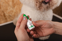 Péče o uši a oči