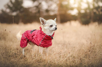 Nepromokavé pláštěnky