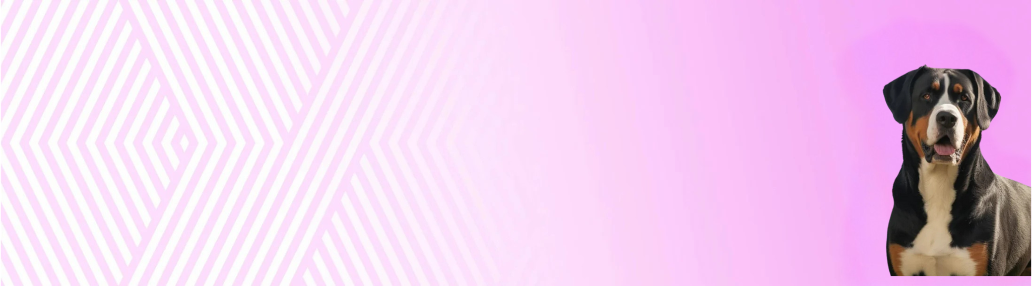 Velký švýcarský salašnický pes