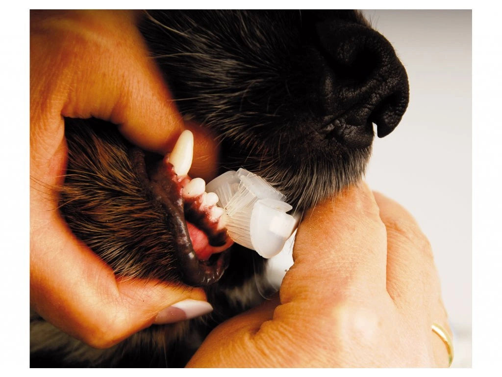 Zubní kartáček Show Tech Trio-Pet