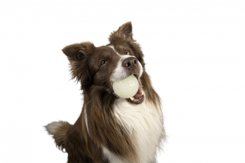 Svítící, létající a plovací míček z gumy